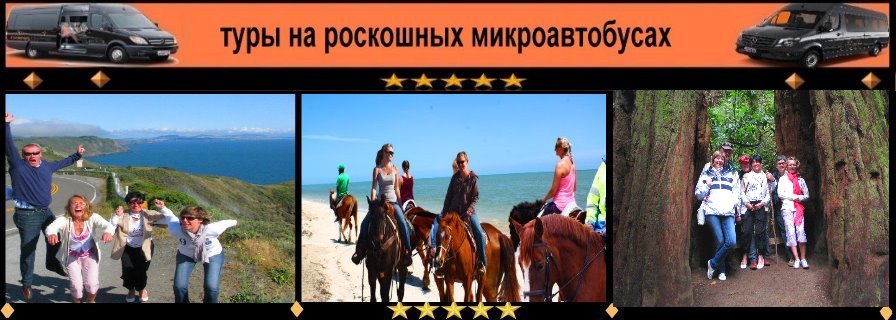 RU-horseback-redwoods-VAN