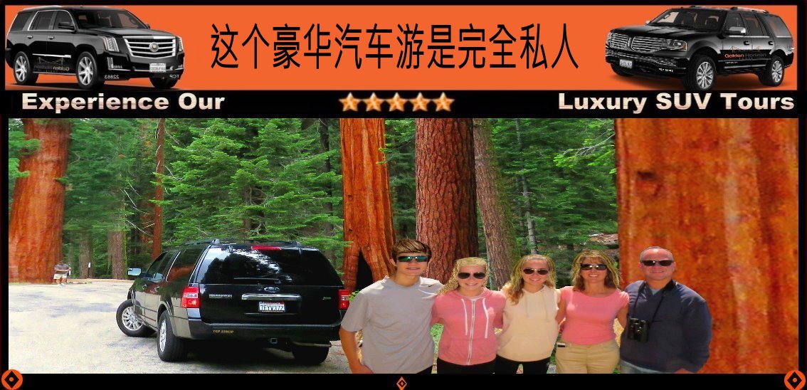 Sequoias-Trees-Yosemite-Day-Trips