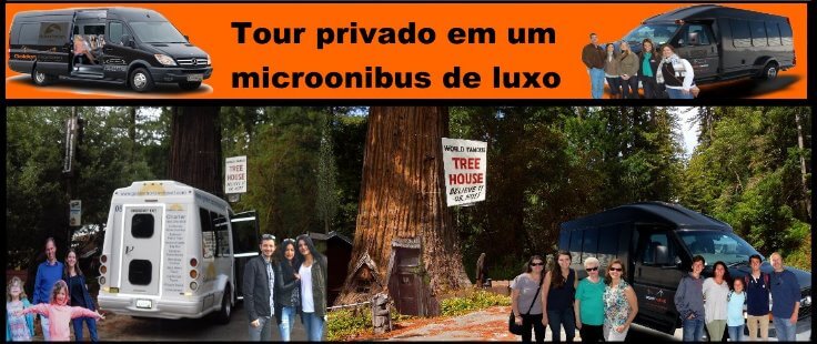 Tour-privado-em-um-microonibus-de-luxo