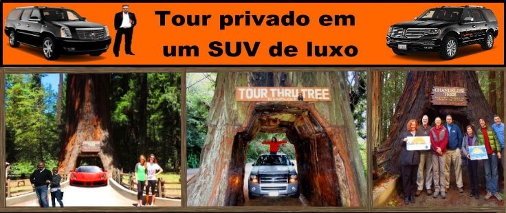 Tour-privado-em-um-microonibus