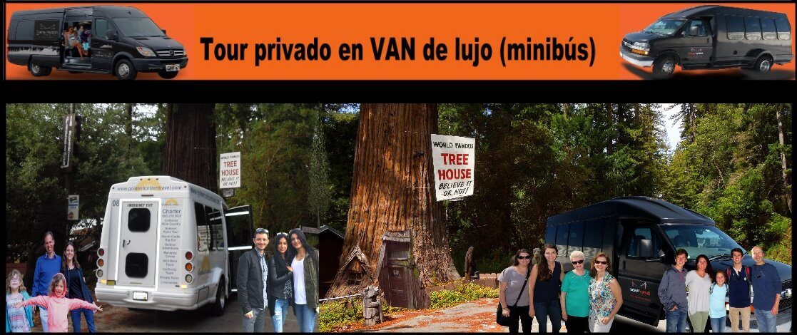 Tour-privado-en-bus-lojoso