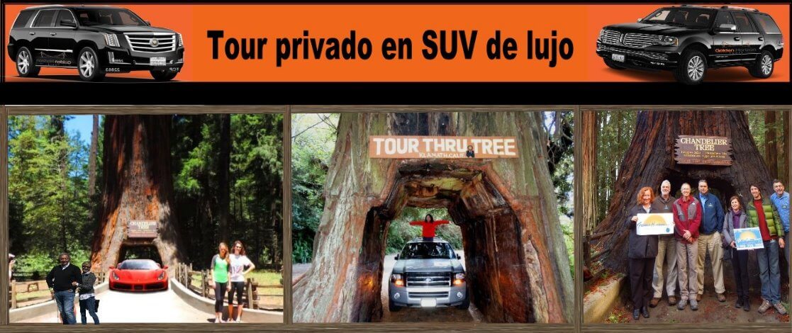 Tour-privado-en-suv-vip
