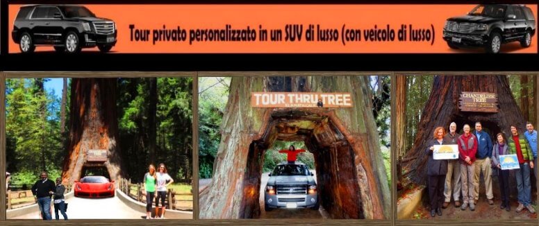 Tour-privato-in-auto-di-lusso