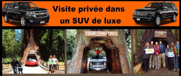 Visite-privee-dans-un-SUV-de-luxe