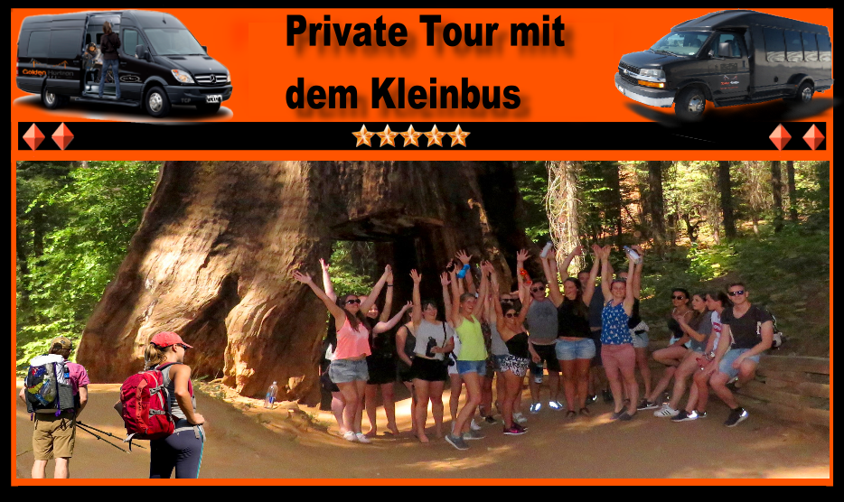 Yosemite-Guided-Tour-Sequoias-Park-Access-Included