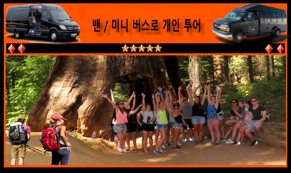 Yosemite-Guided-Tours-Sequoias-Korean