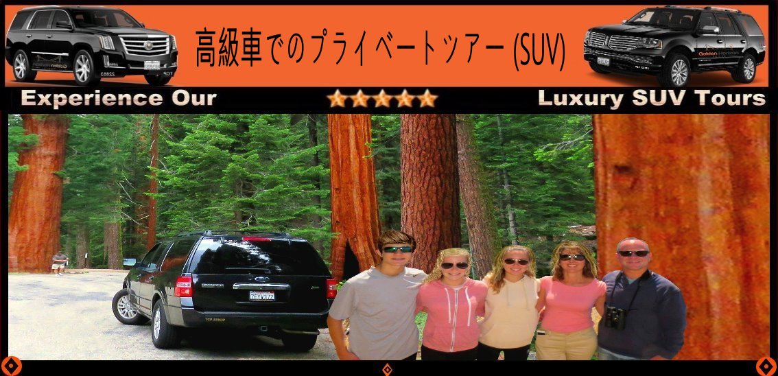 Yosemite-giant-sequoias-forest