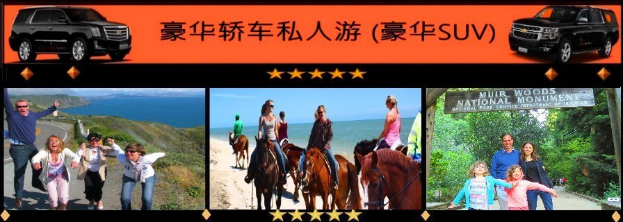 chinese-suv-spanish-horseback-redwoods