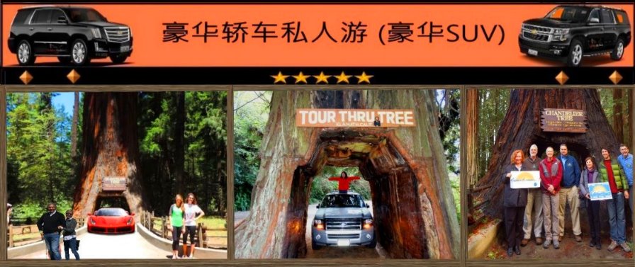 chinese-travel-guide-chinese-tour-guide-california