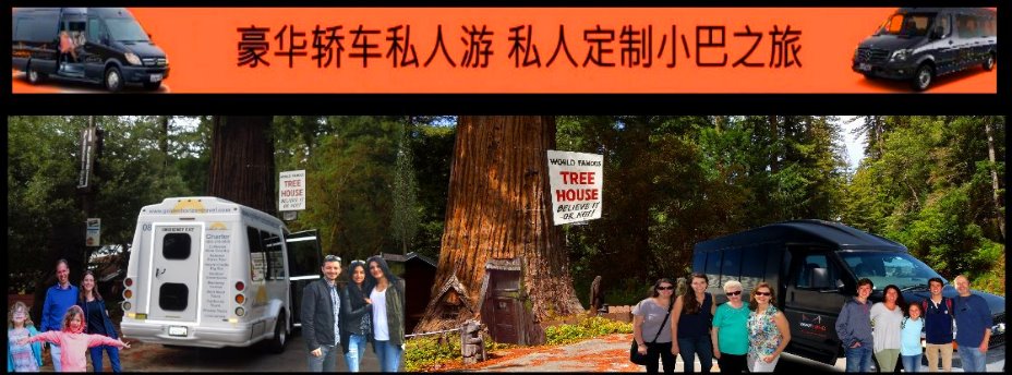 chinese-travel-guide-chinese-tour-guide-sfo