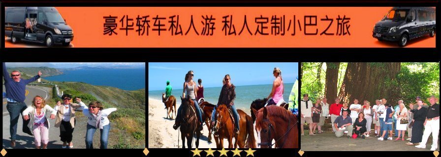 chinese-van-spanish-horseback-redwoods-VAN