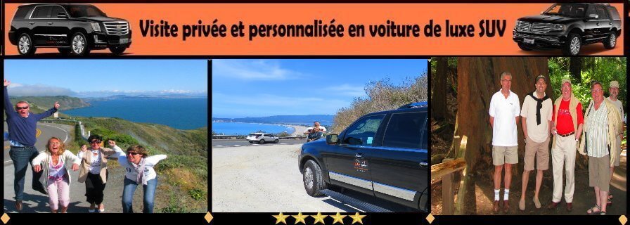 excursions-de-muir-woods-redwoods-point-reyes