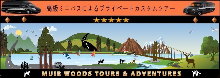 excursions-japanese-tour-muir-woods-redwoods-point-reyes-van