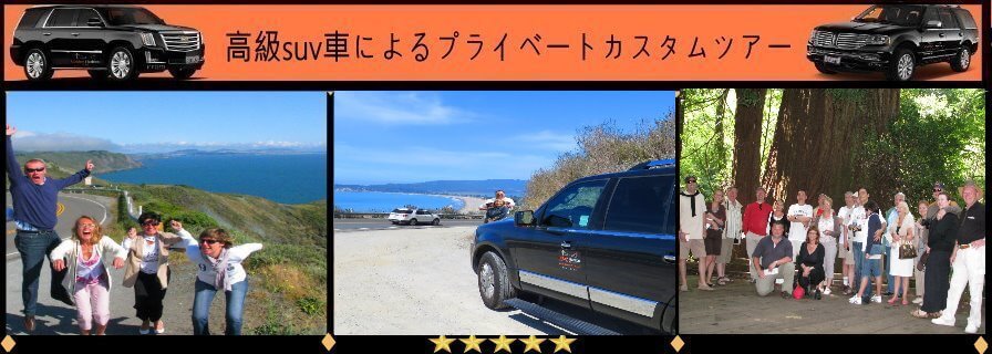 excursions-japanese-tour-muir-woods-redwoods-point-reyes