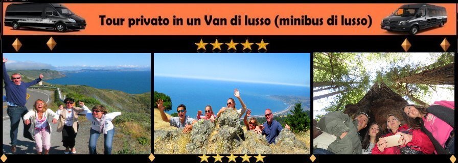 excursions-tour-di-muir-woods-redwoods-point-reyes-van