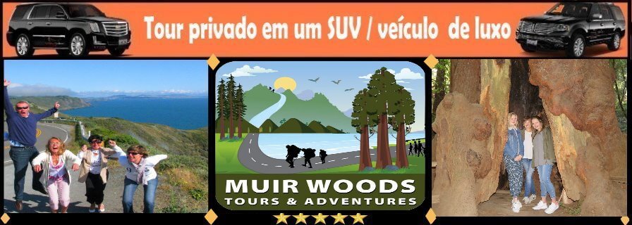 portuguese-excursio-tour-de-muir-woods-redwoods-point-reyes