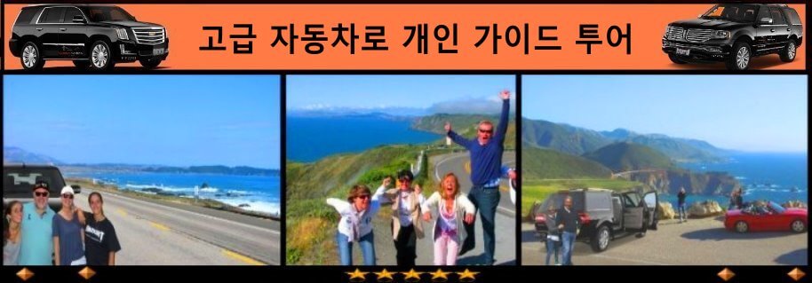 private-tours-in-korean-from-sanfrancisco-sfo-ko