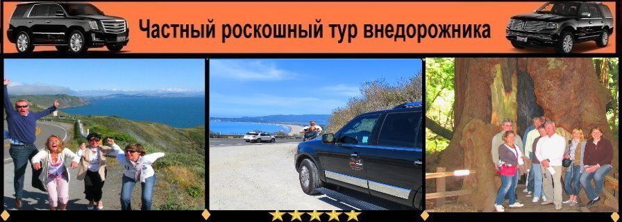 russian-excursions-tour-roski--muir-woods-redwoods-point-reyes
