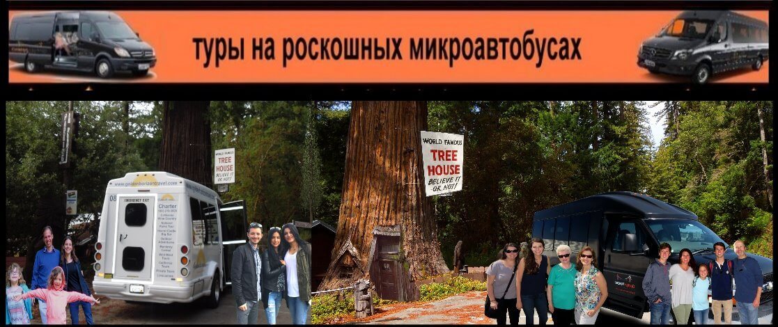 russian-tour-guide-sanfrancisco-muirwoods
