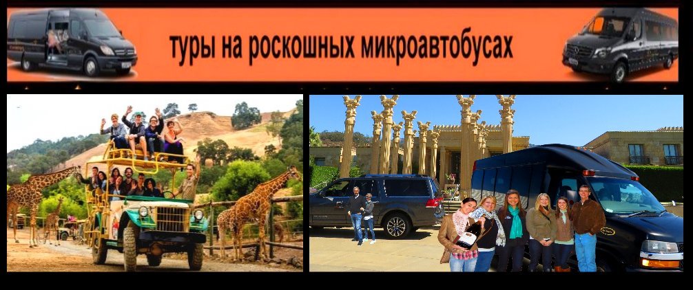 safari-outdoor-family-activities-kids-fun-things-to-do-ru-van