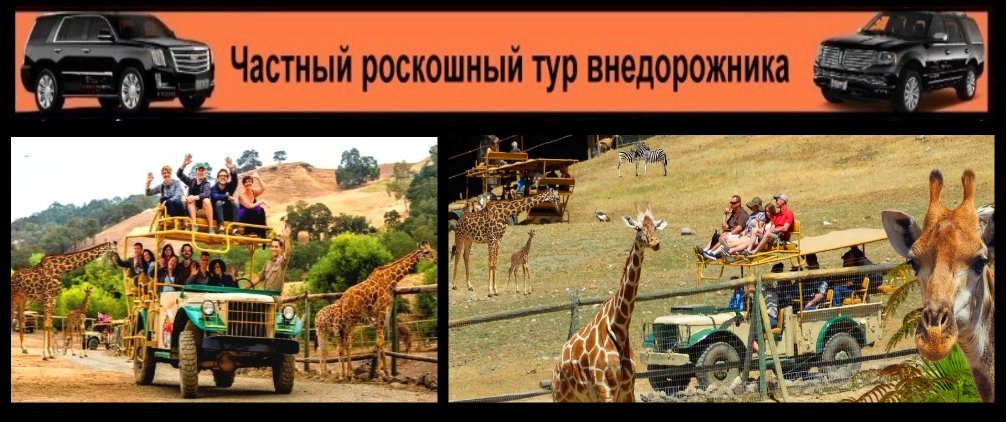 safari-outdoor-family-activities-kids-fun-things-to-see-suv-ru