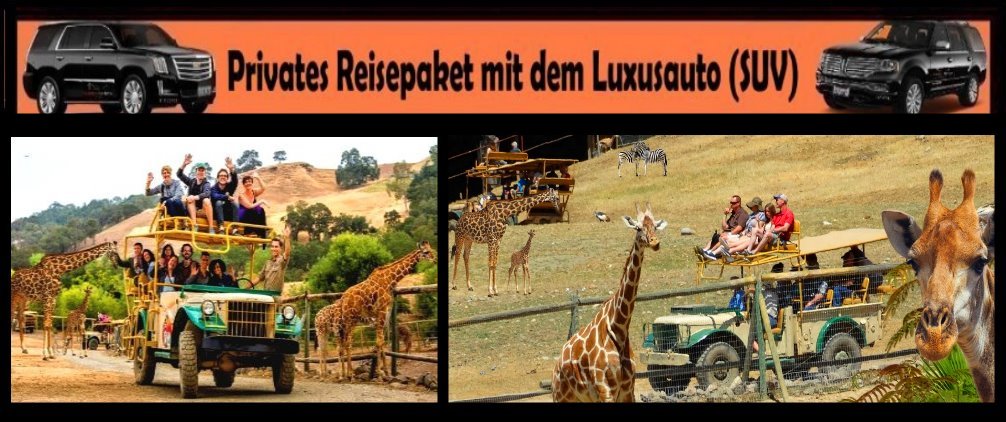 safari-outdoor-family-activities-kids-fun-things-to-see-van-gr