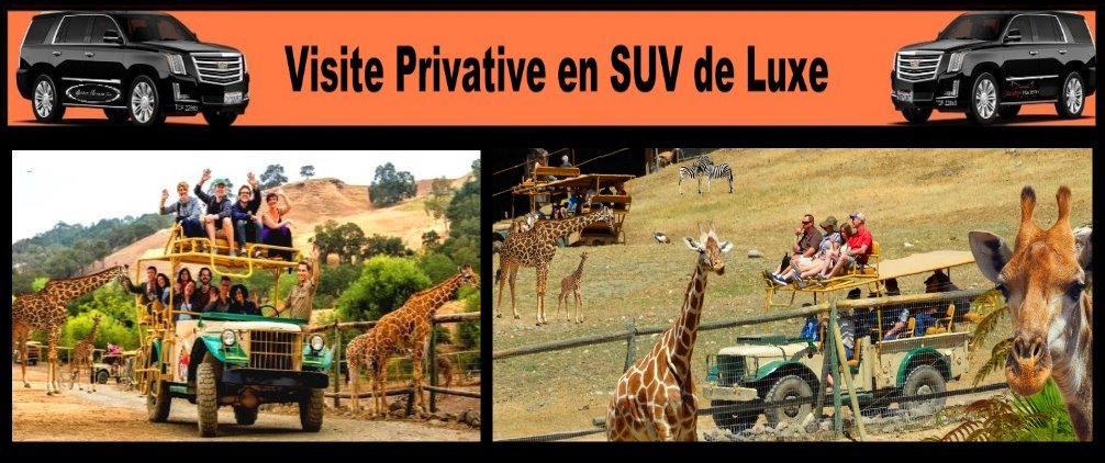 safari-outdoor-family-activities-kids-fun-things-to-see-van