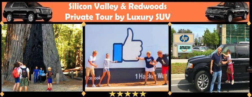 tech-tours-of-silicon-valley-visit-park-Redwoods-sequoias