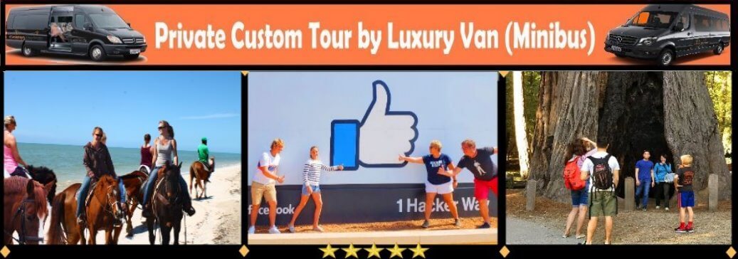 tech-tours-to-silicon-valley-visit-forest-of-redwoods-sequoias