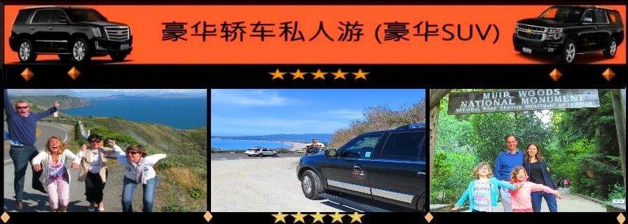 tour-guide-travel-guide-muir-woods-redwoods-point-reyes