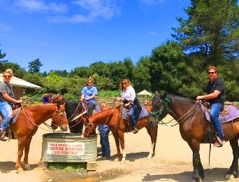 /storage/images/ride_horseback_tours_redwoods.JPG