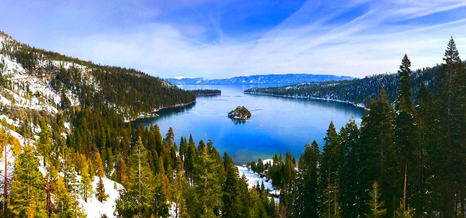 hike to mariposa  grove of sequoias.jpg