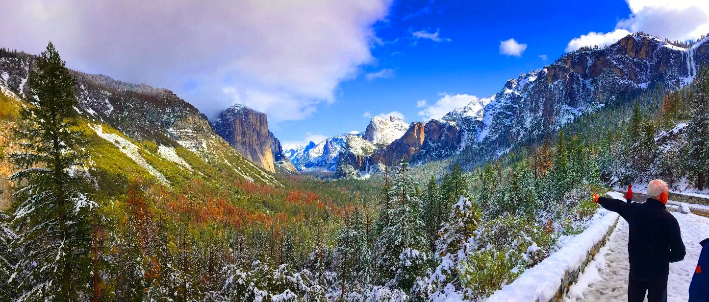 hike to mariposa  grove of sequoias.jpg